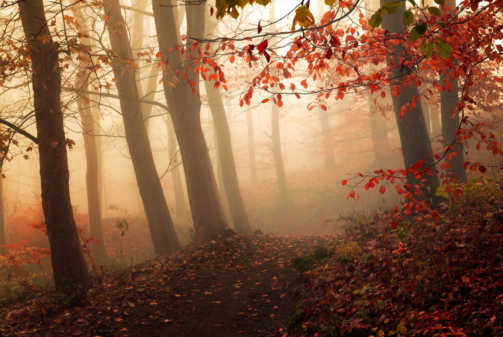 Papermoon Fototapete "Photo-Art LEIF LONDAL, AUF DAS LICHT" von Papermoon