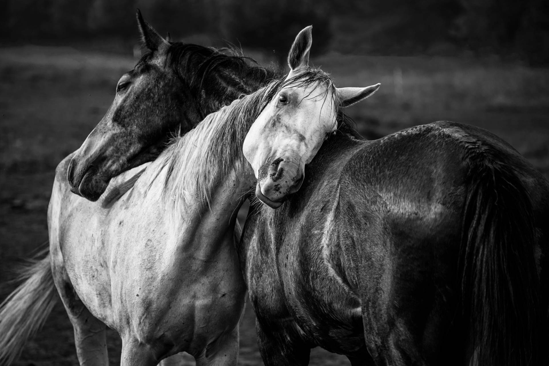 Papermoon Fototapete "Photo-Art NIKO CHAPA, WARMER REGEN" von Papermoon