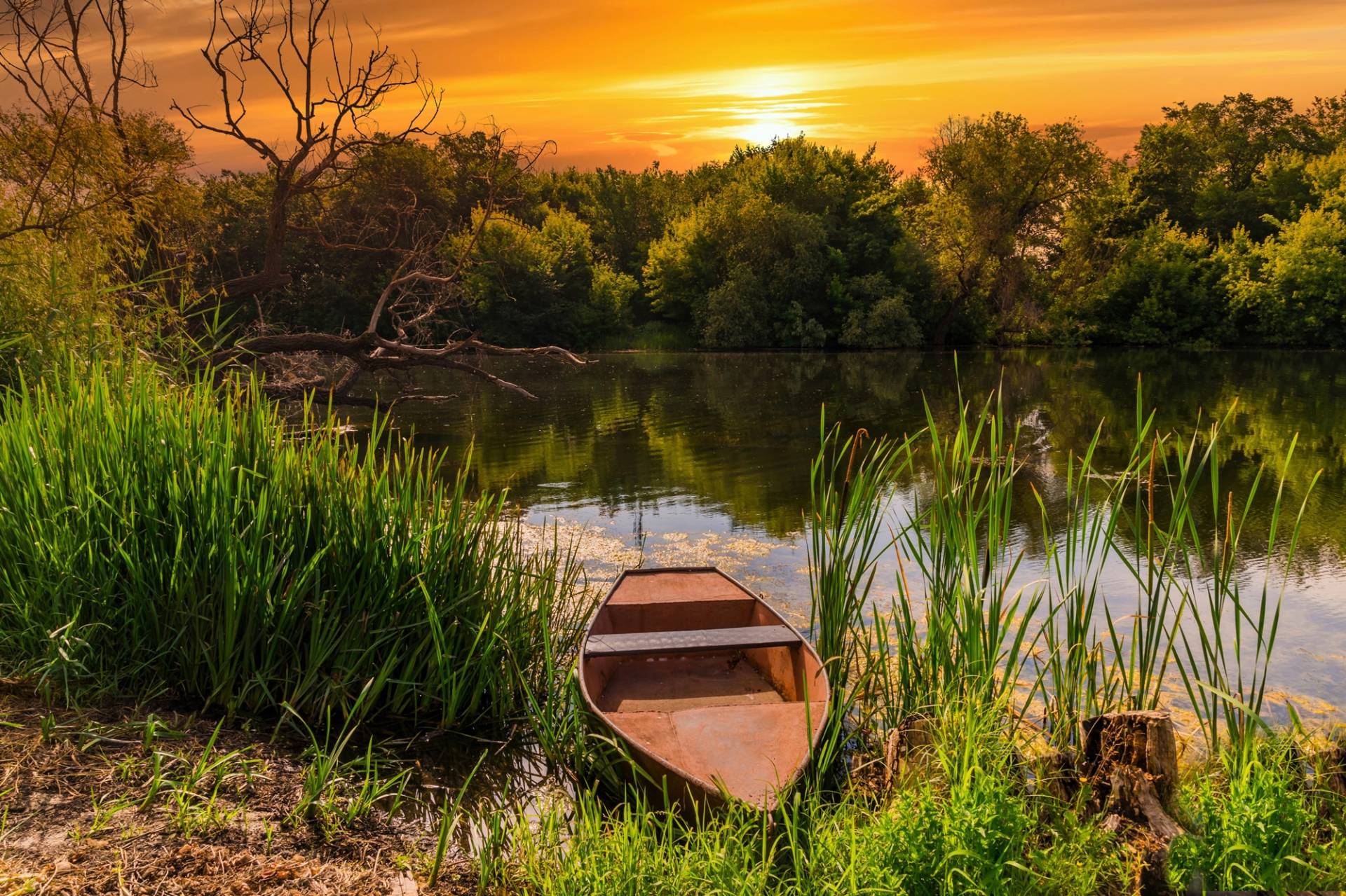 Papermoon Fototapete "STRAND-SEE BOOT WALD SONNENUNTERGANG BÄUME FLUSS IDYLLE" von Papermoon