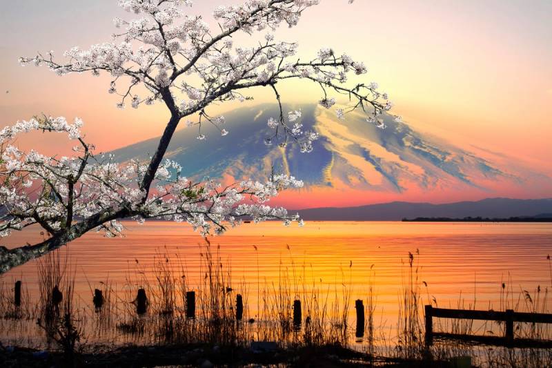 Papermoon Fototapete "See vor Mount Fuji" von Papermoon