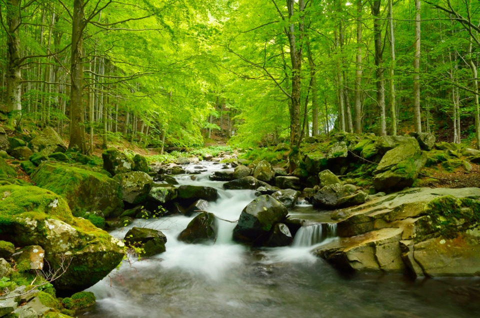 Papermoon Fototapete "Soft Water Stream" von Papermoon