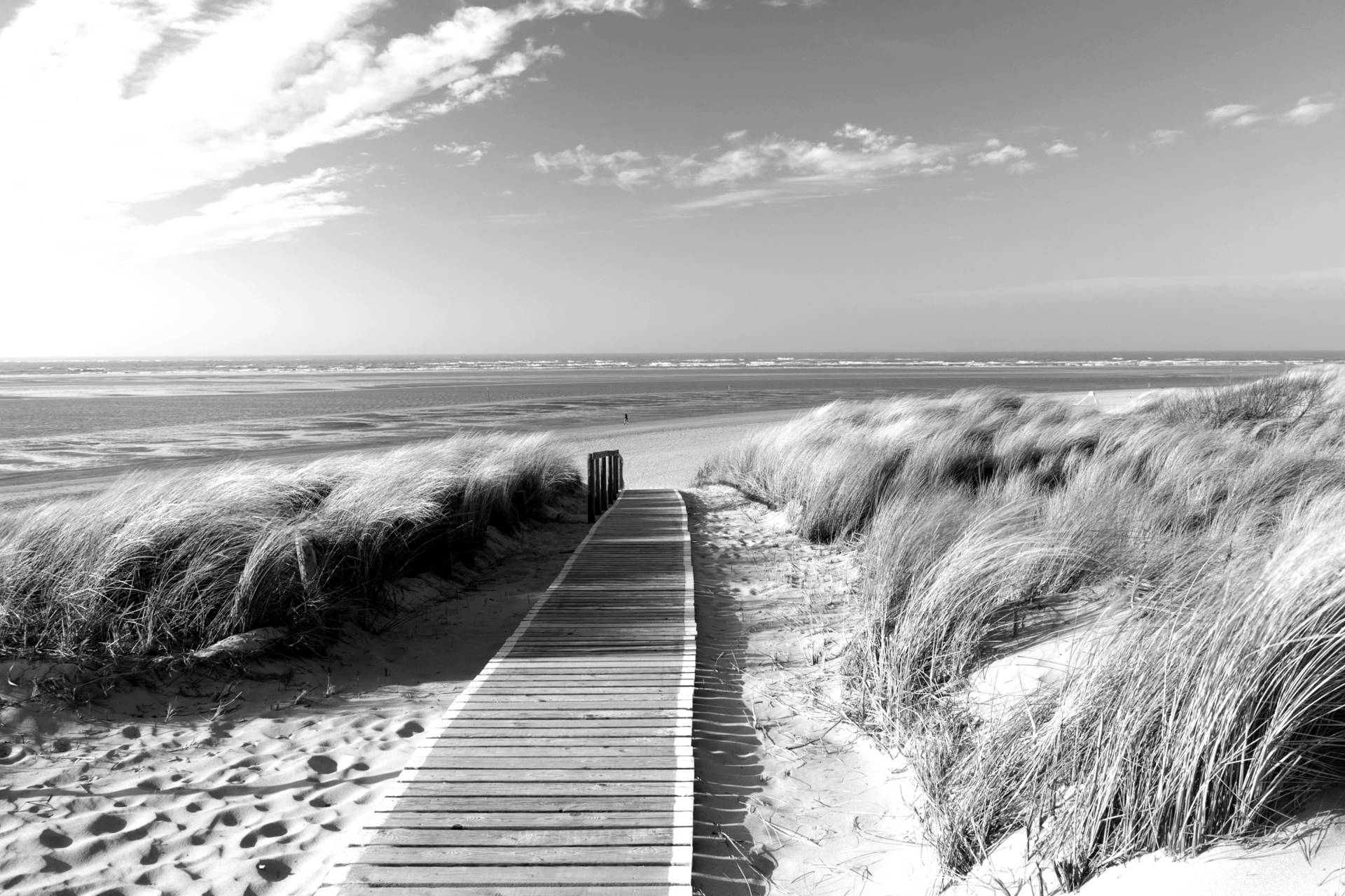 Papermoon Fototapete "Strand Schwarz & Weiß" von Papermoon