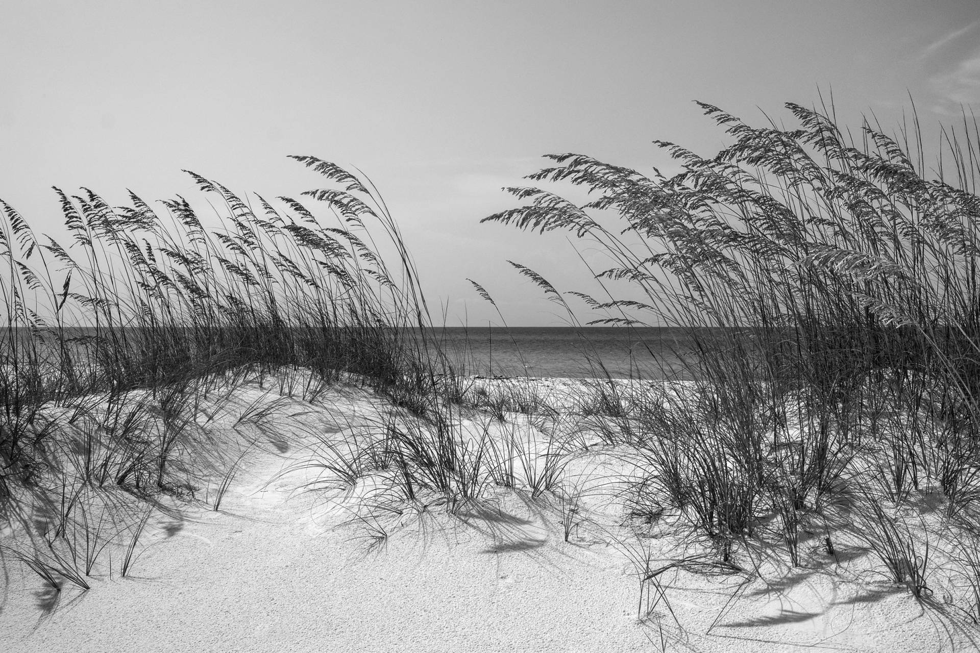 Papermoon Fototapete "Strand Schwarz & Weiß", Vliestapete, hochwertiger Digitaldruck, inklusive Kleister von Papermoon