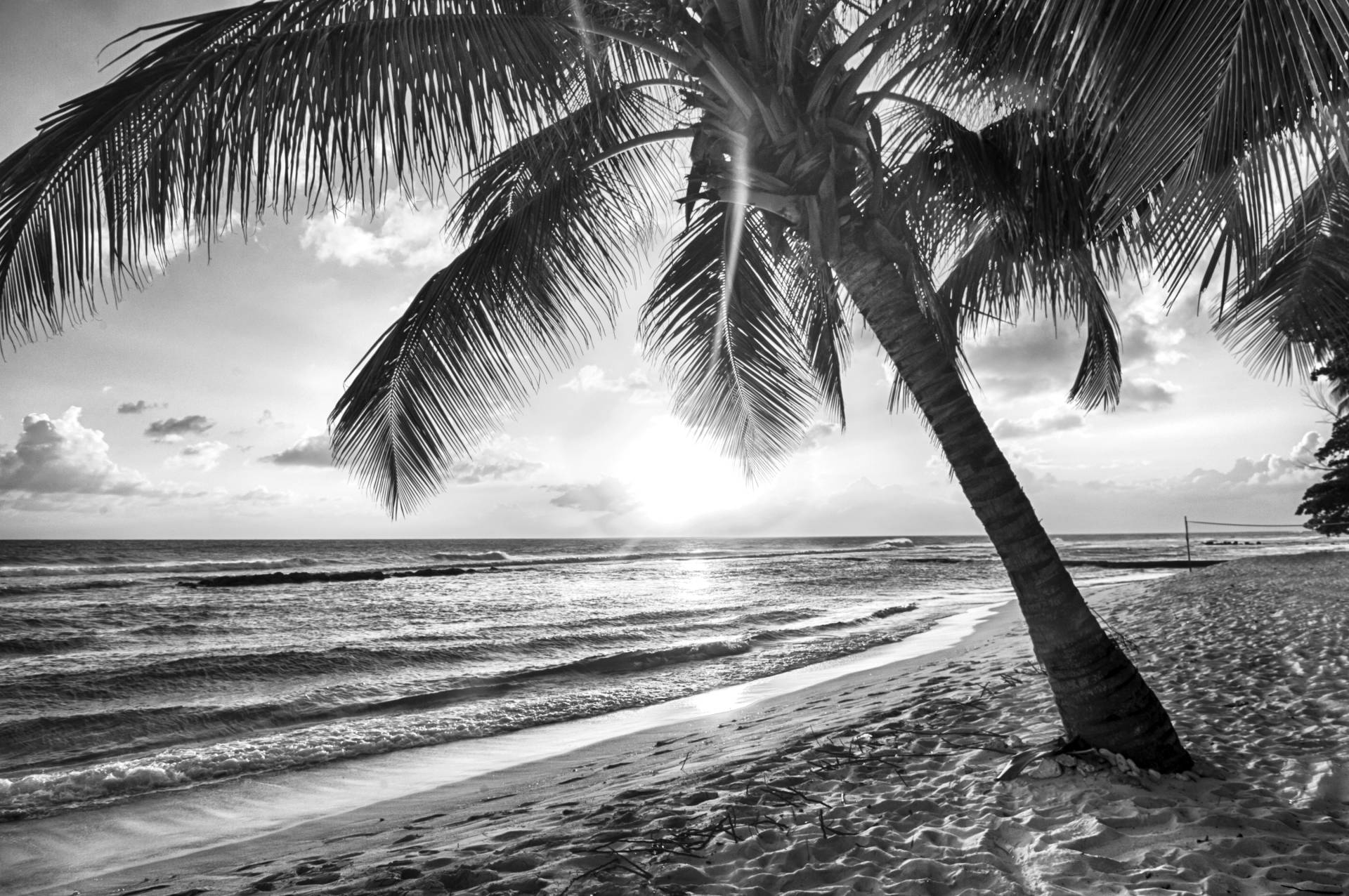 Papermoon Fototapete "Strand Schwarz & Weiß" von Papermoon