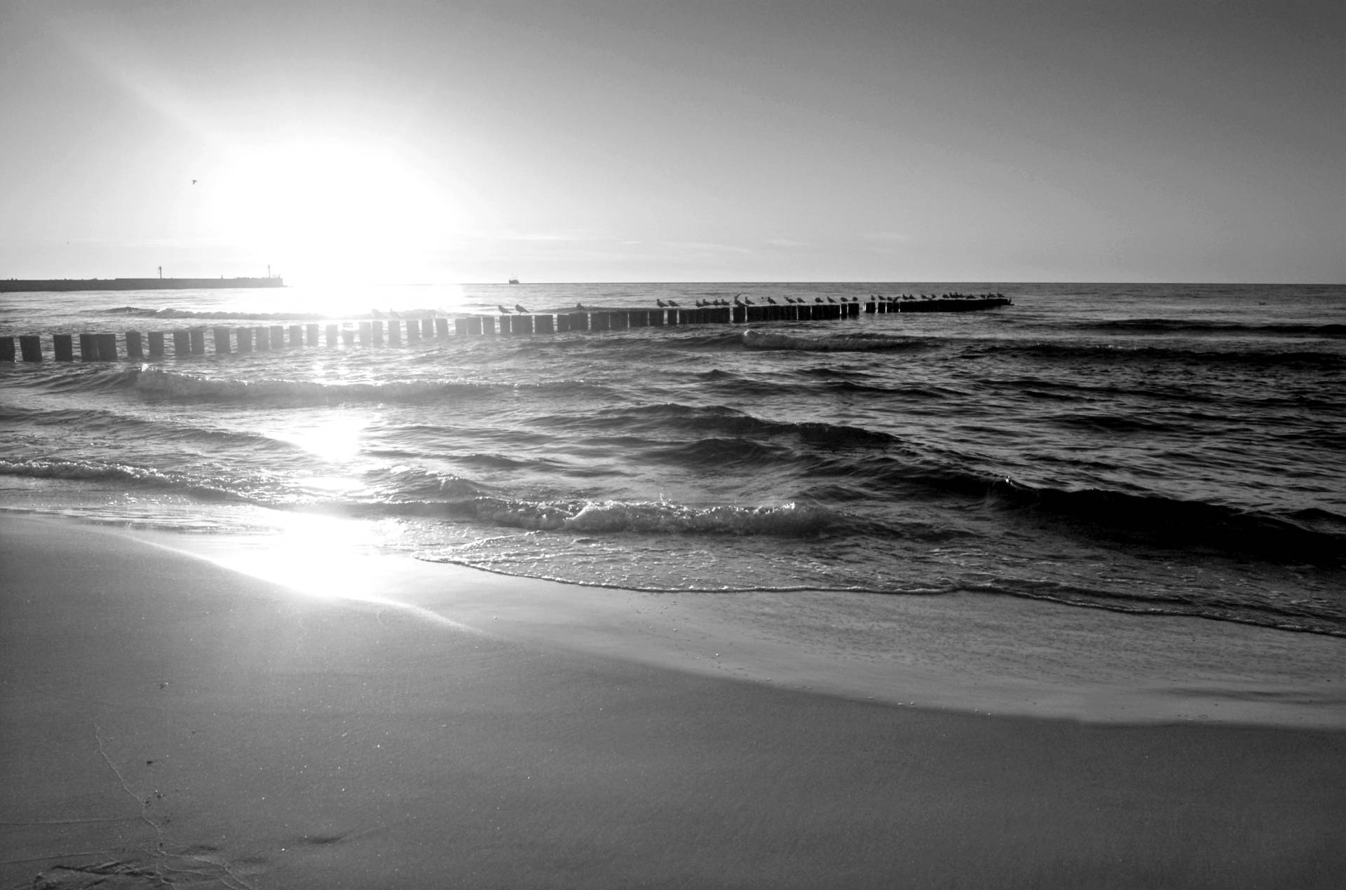 Papermoon Fototapete "Strand schwarz & weiß" von Papermoon