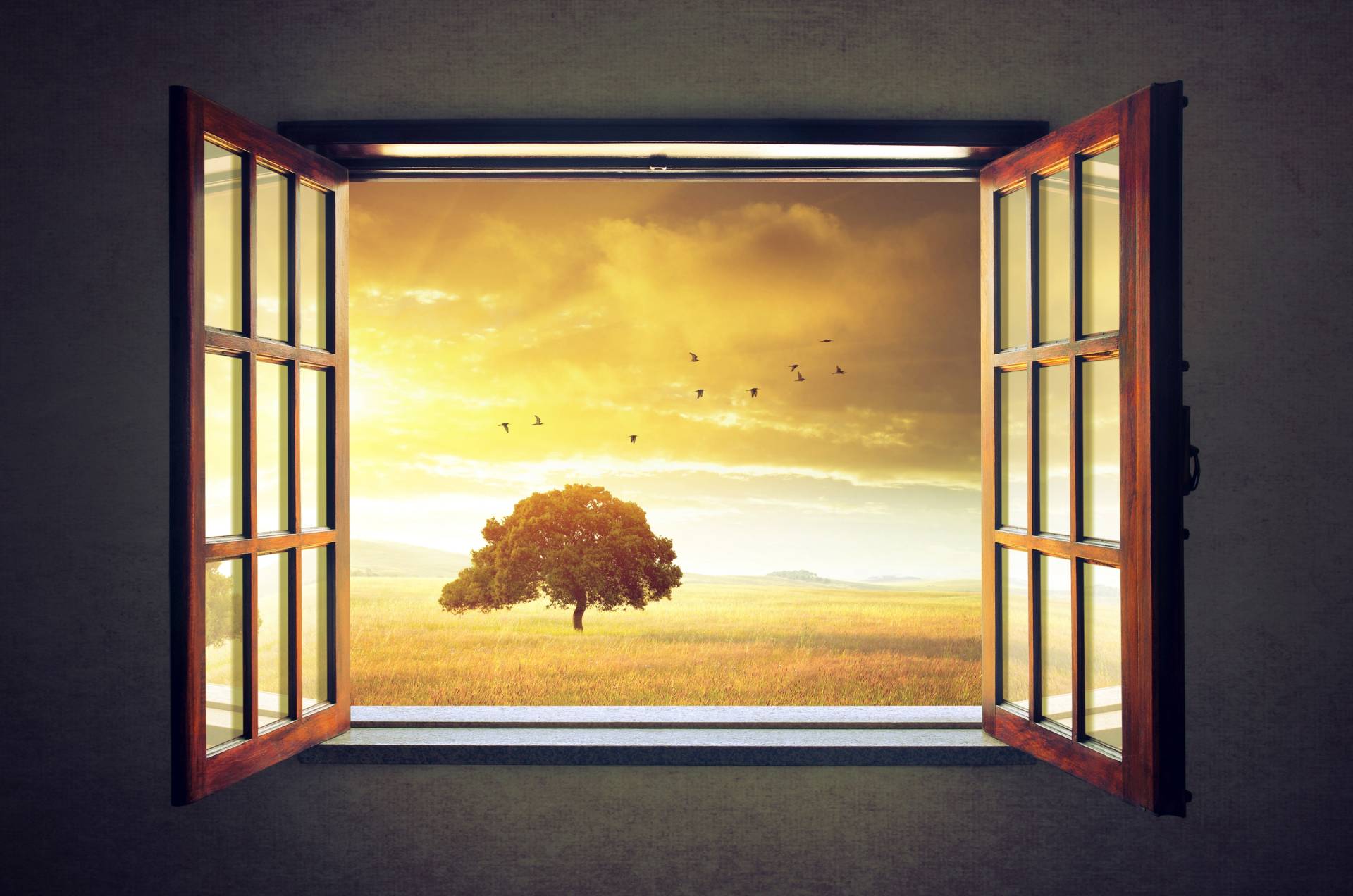 Papermoon Fototapete "Sunny Spring" glatt von Papermoon