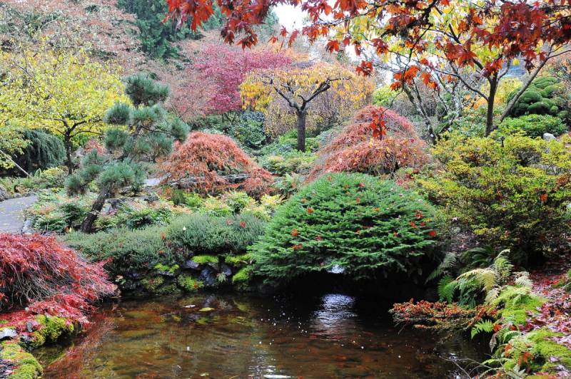 Papermoon Fototapete "Teich im Garten" von Papermoon