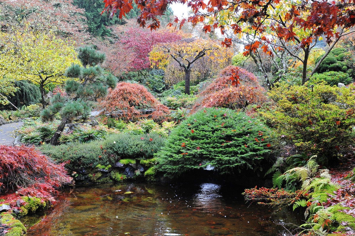 Papermoon Fototapete "Teich im Garten" von Papermoon