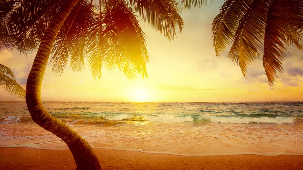 Papermoon Fototapete "Tropischer Strand Sonnenaufgang" von Papermoon