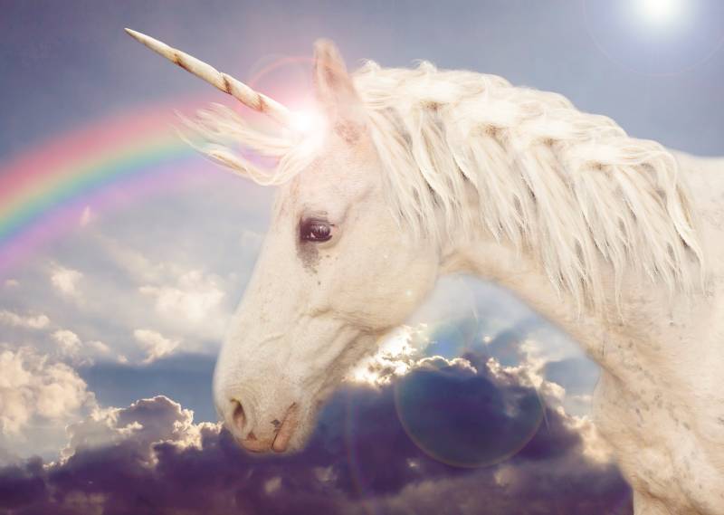 Papermoon Fototapete "Unicorn Rainbow" von Papermoon