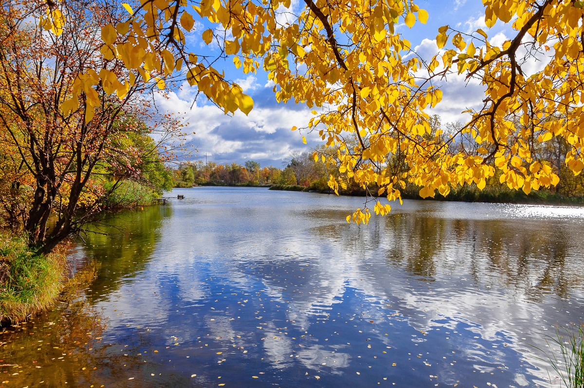 Papermoon Fototapete "Wald See" von Papermoon