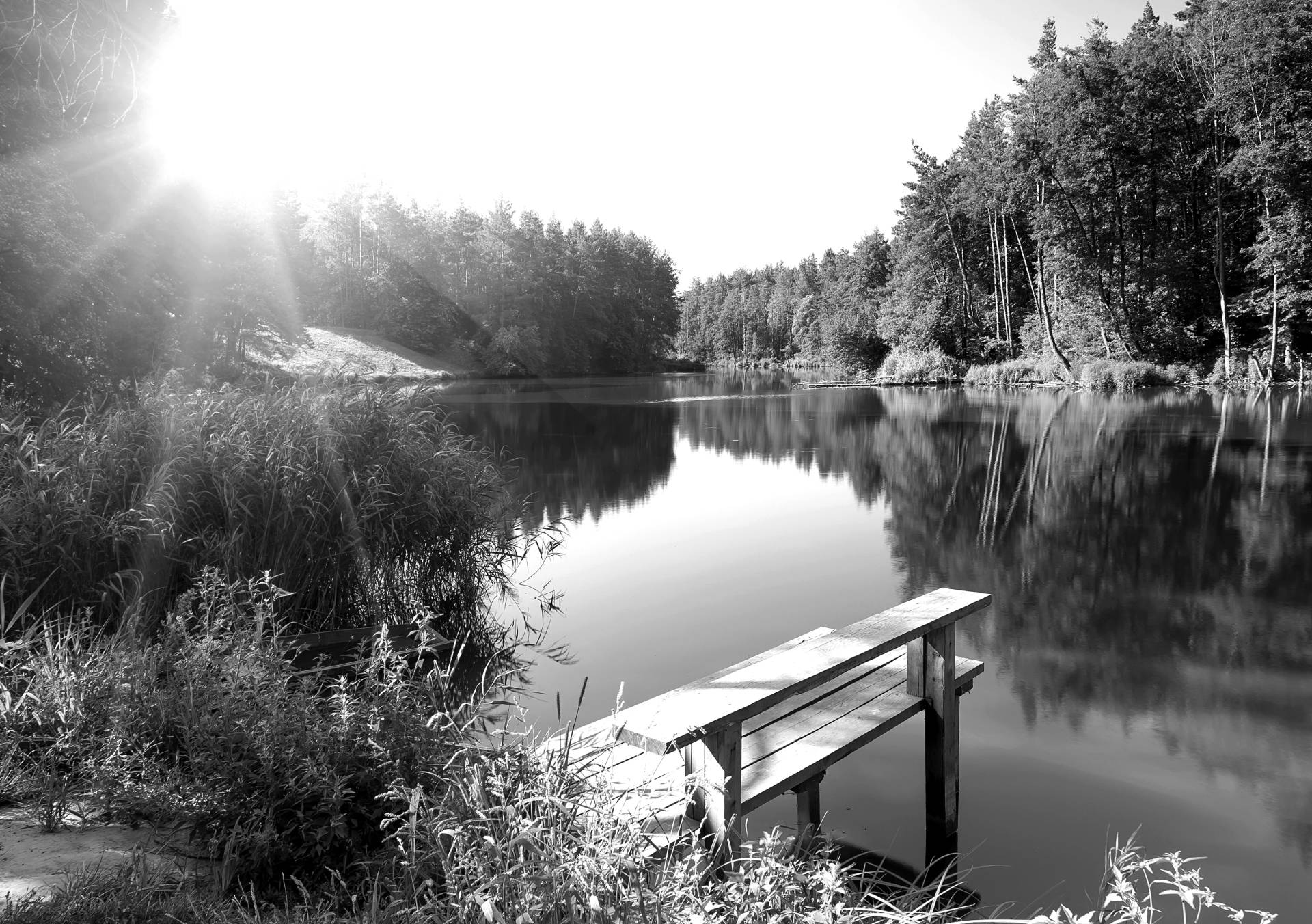 Papermoon Fototapete "Wald mir Fluss Schwarz & Weiß" von Papermoon