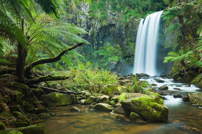 Papermoon Fototapete "Wasserfall im Wald" von Papermoon