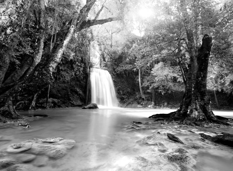 Papermoon Fototapete "Wasserfall im Wald Schwarz & Weiß" von Papermoon