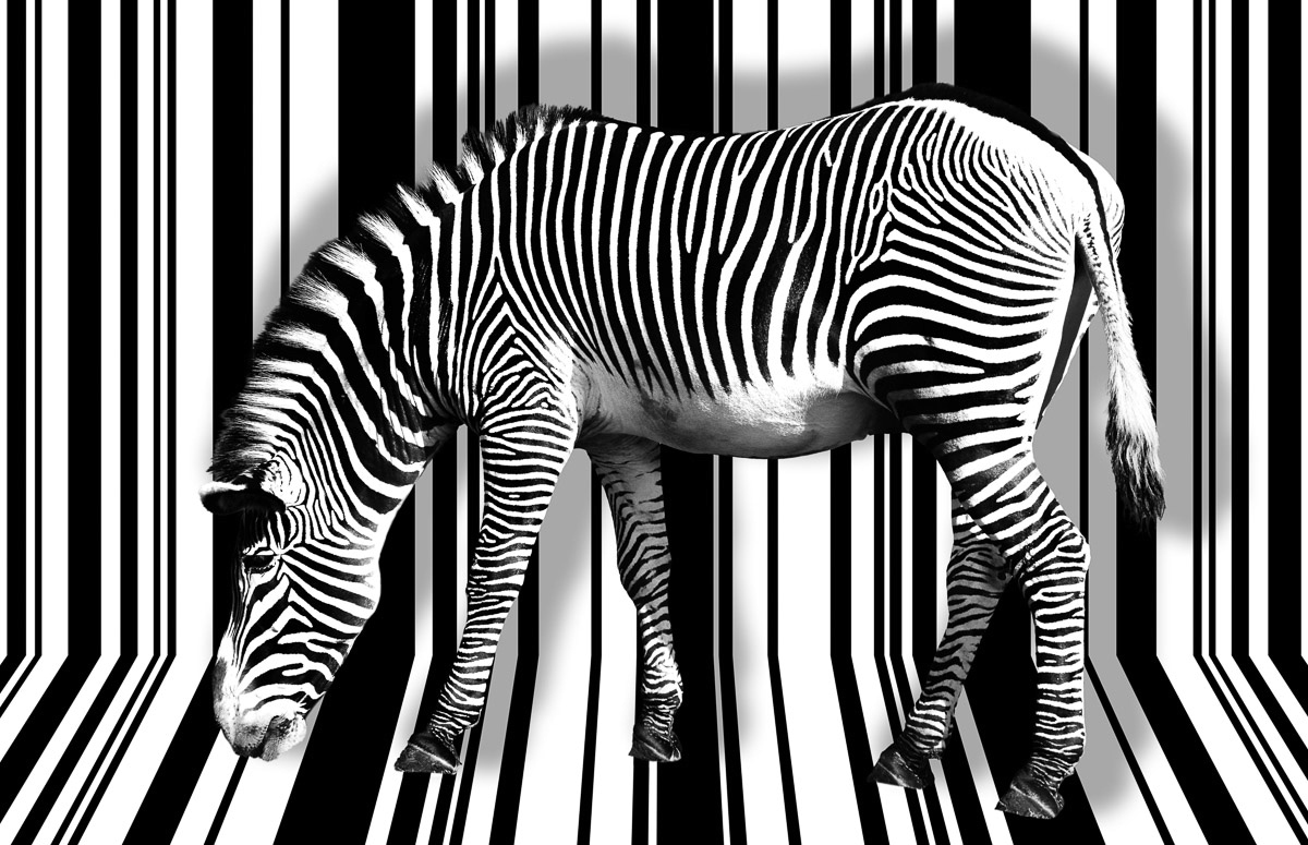 Papermoon Fototapete "Zebra" von Papermoon