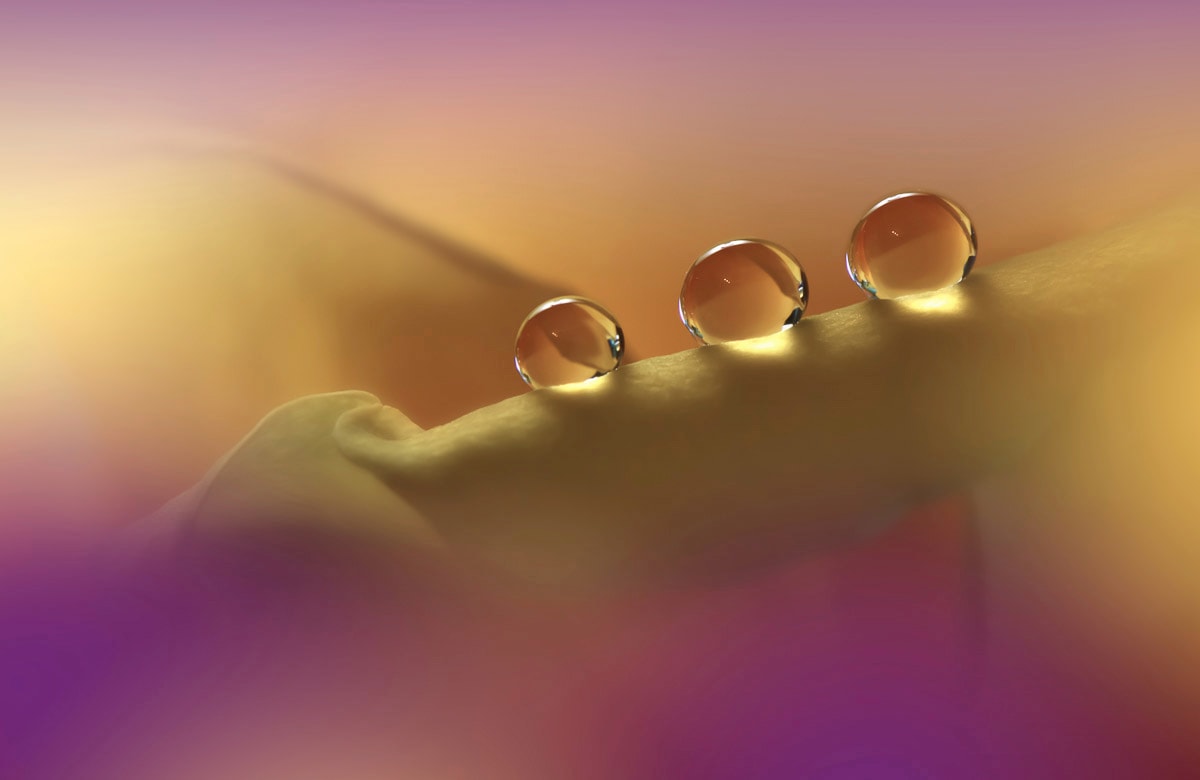 Papermoon Fototapete "Zen Wassertropfen mit Blume Makro" von Papermoon