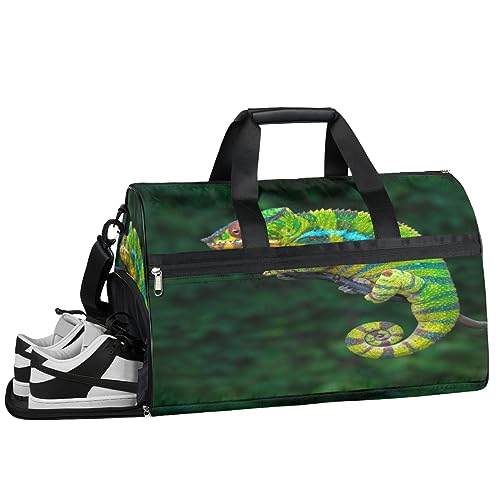 Chameleon On Tree Animal Sporttasche mit Nassfach und Schuhfach, Reisetasche für Männer und Frauen, Basketball, Wochenendtasche für Flugzeug, Schwimmen, Yoga, Mehrfarbig von Pardick