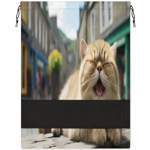 Süße Katzen-Schuhtasche für Reisen, faltbar, für Sport, Schuhaufbewahrung, Verpackung, Organizer, Golf, Fitnessstudio, Tanz, Spitzenschuhtaschen mit Reißverschluss, Unisex-Schuhbeutel für Damen und von Pardick