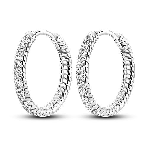 Parmuz 925 Sterling Silber Hoop Ohrringe für Frauen Mädchen Snack Kleine Huggie Verschiedene Hypoallergene Mode Trendy Ohrringe Schmuck für Geburtstag Party Weihnachten Geschenk von Parmuz