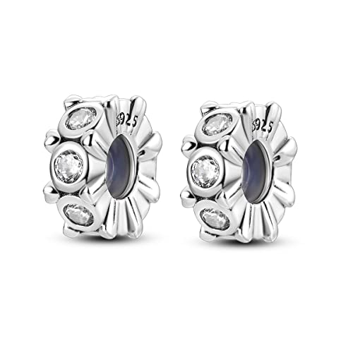 Parmuz Stopper Perlen Charms für Charm-Armbänder 925 Sterling Silber Clip Rondelle Spacer Charm mit Gummi innen Schmuck Geschenk für Frau von Parmuz