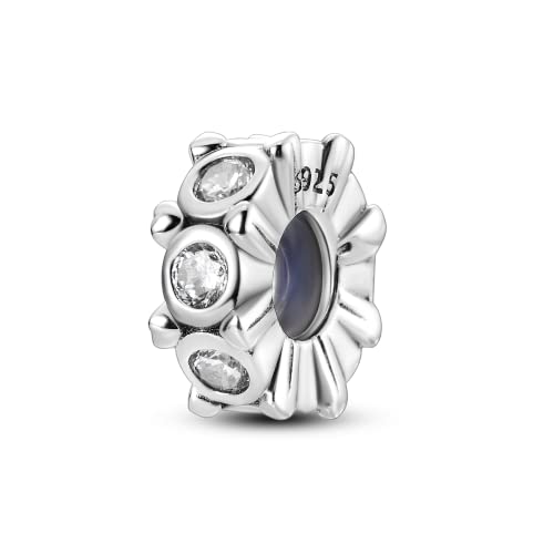 Parmuz Stopper Perlen Charms für Charm-Armbänder 925 Sterling Silber Clip Rondelle Spacer Charm mit Gummi innen Schmuck Geschenk für Frau von Parmuz