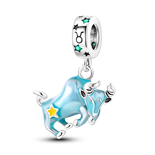 Parmuz -Zodiac -Zeichen Zauber für Armband Halskette 925 Sterling Silber Charms 12 Sternbild/Horoskop Star Dangle Geburtssteinperlen, Geburtstag Schmuckgeschenke für Frauen von Parmuz