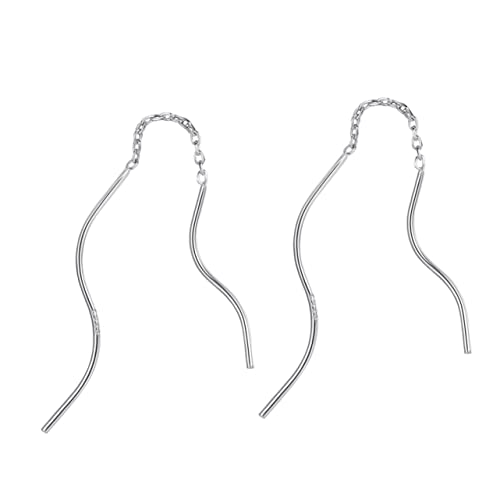 PartyKindom 1Paar Silberne Quaste Ohrringe für Frauen Silber Ohrstecker Modischer Schmuck für Handgefertigte Quaste Ohrhänger Stilvolles Accessoire für von PartyKindom