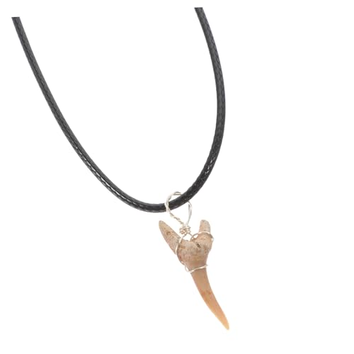 PartyKindom Halskette mit Haifischzahn Anhänger für Damen Einzigartiger Haifischzahn Charm Pflegeleichte Schmuckstück für Frauen Halskette mit Lederschnur für Verschiedene Anlässe von PartyKindom