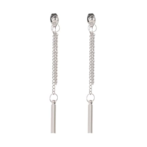 PartyKindom Lange Silberne Quastenohrringe Minimalistisches Design Stilvolle Ohrhänger für Damen Modischer Ohrschmuck Leichter Ear Dangle für Alltag und Party von PartyKindom