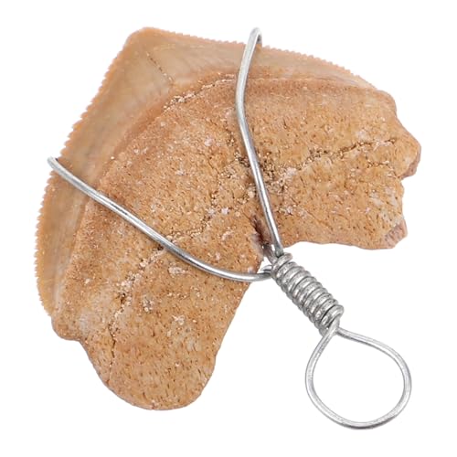 PartyKindom Surfer Haifischzahn Anhänger Kleiner Prähistorischer Zahn Charm für Schmuckherstellung DIY Halskette Stil und Feine Handwerkskunst von PartyKindom
