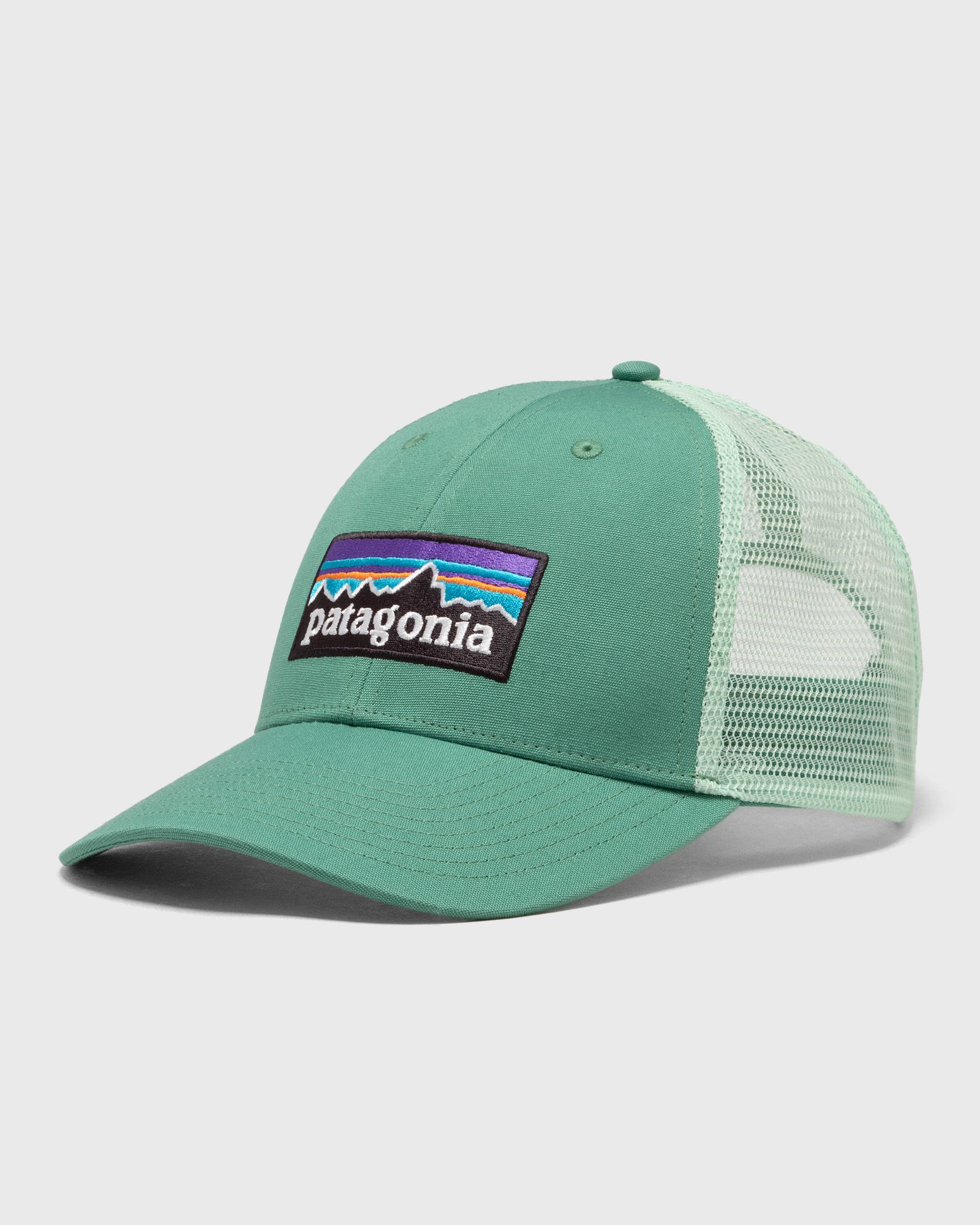 Patagonia P-6 Logo LoPro Trucker Hat men Caps green in Größe:ONE SIZE von Patagonia