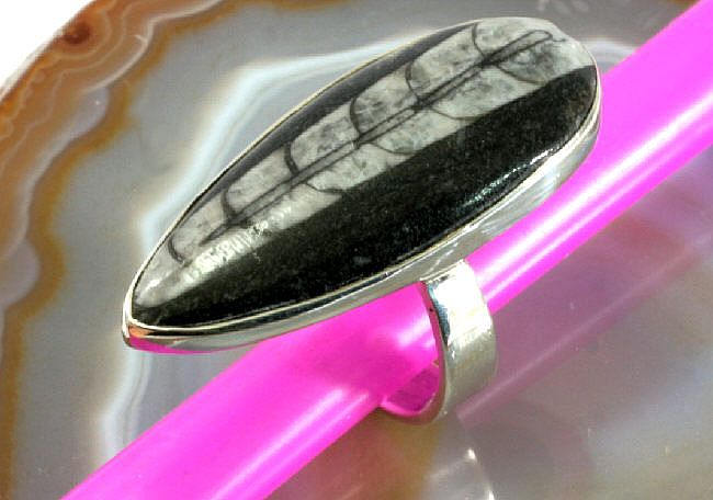 Orthoceras , 925 Sterling Silver Ring Orthoceras , 925 Sterling Silver Ring von Patmoo