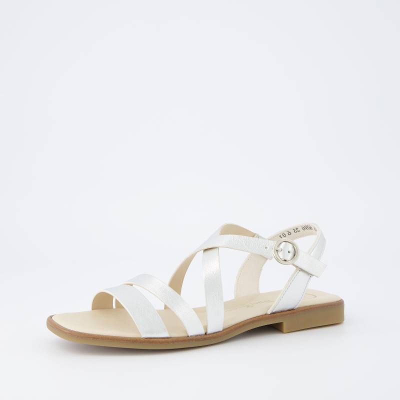 0079-6096-080 METALLIC von Paul Green