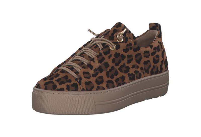 Paul Green 5317-026 Schnürschuh von Paul Green