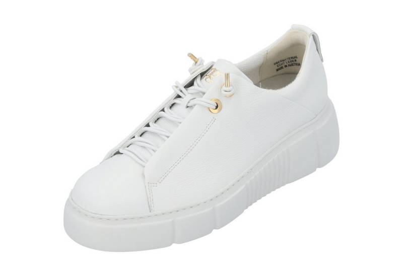 Paul Green 5418 Schnürschuh von Paul Green