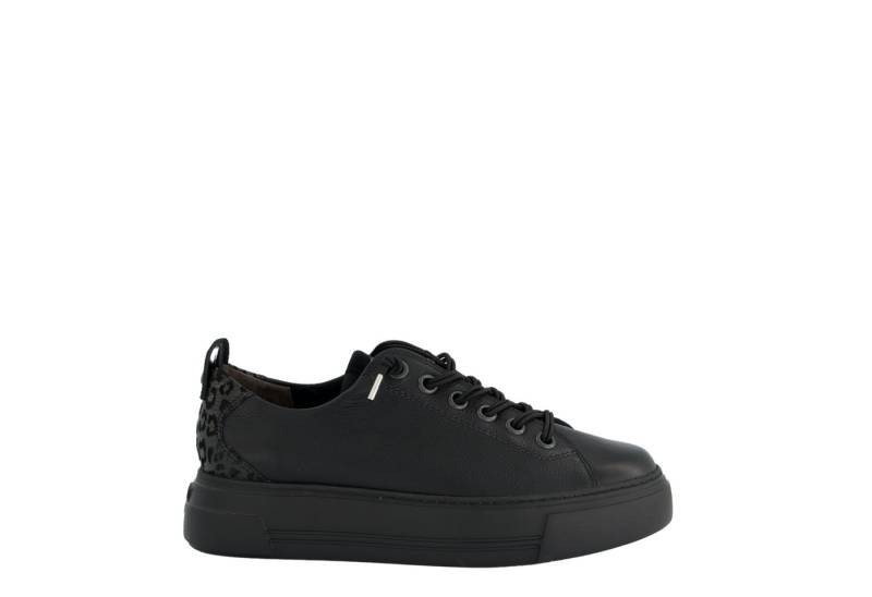 Paul Green Paul Green 5465-008, Sneaker, Schwarz, Damen Sneaker von Paul Green