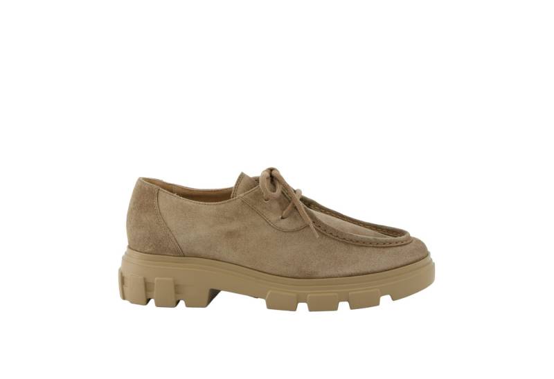 Paul Green Paul Green 1183-028, Schnürschuhe, Beige, Damen Schnürschuh von Paul Green