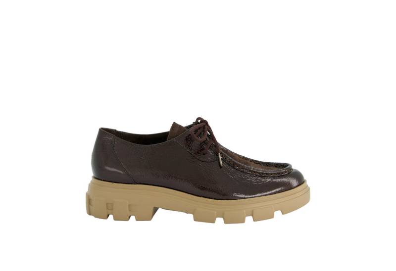 Paul Green Paul Green 1183-038, Schnürschuhe, Braun, Damen Schnürschuh von Paul Green