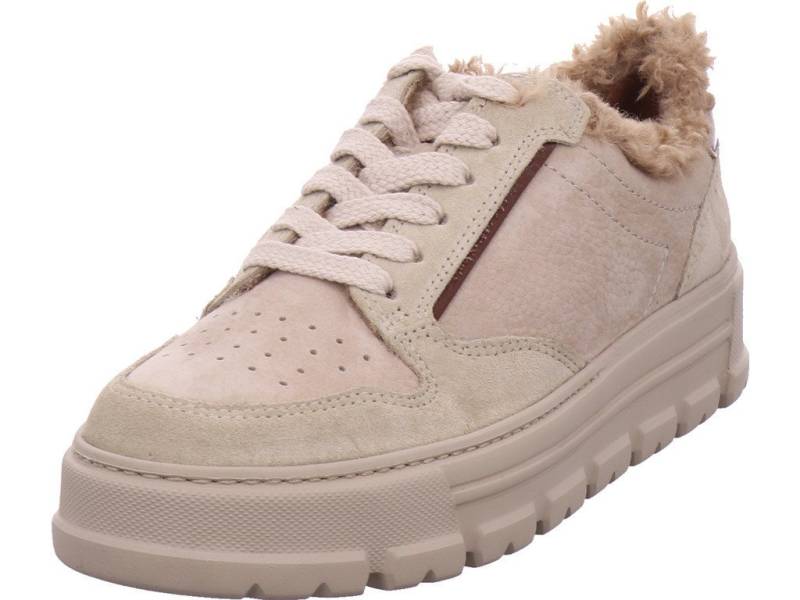 Paul Green Schnürschuh von Paul Green