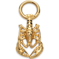 PAUL HEWITT Lobster Charm Gold für Damen von Paul Hewitt