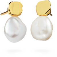 PAUL HEWITT Ocean Pearl Ohrring Gold für Damen von Paul Hewitt