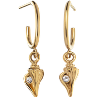 PAUL HEWITT Sea Shell Hoops Ohrring Gold für Frauen von Paul Hewitt