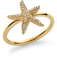 PAUL HEWITT Sea Star Ring Gold für Damen von Paul Hewitt