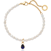 PAUL HEWITT Set Blue Stone Charm und Armkette Gold für Damen von Paul Hewitt