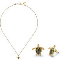 PAUL HEWITT Set Turtle III Gold für Damen PAUL HEWITT Set Turtle III Gold für Damen von Paul Hewitt