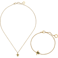 PAUL HEWITT Set Turtle IV Gold für Damen PAUL HEWITT Set Turtle IV Gold für Damen von Paul Hewitt