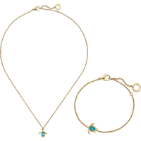 PAUL HEWITT Set Turtle VI Gold für Damen PAUL HEWITT Set Turtle VI Gold für Damen von Paul Hewitt