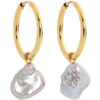 PAUL HEWITT Treasures of the Sea Pearl Ohrring Gold für Damen von Paul Hewitt