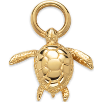 PAUL HEWITT Turtle Charm Gold für Damen von Paul Hewitt