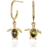 PAUL HEWITT Turtle Hoops Ohrring Gold für Frauen PAUL HEWITT Turtle Hoops Ohrring Gold für Frauen von Paul Hewitt